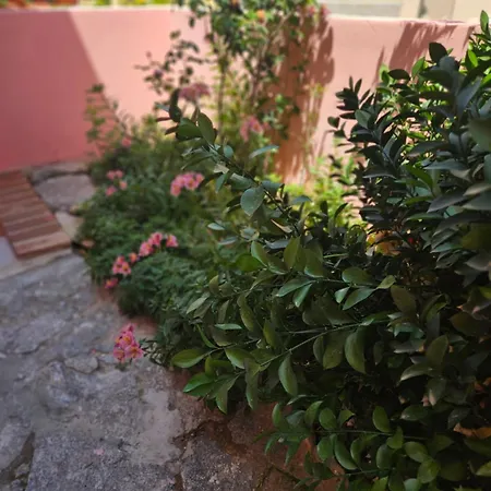 דירה Bel Seminterrato Con Finestre