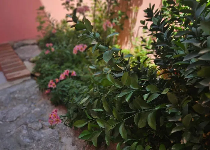 Апартаменти Bel Seminterrato Con Finestre